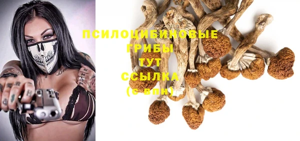 бошки Абдулино