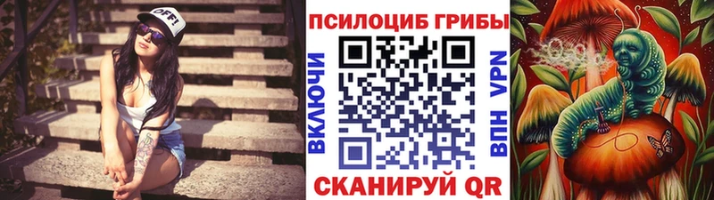 Псилоцибиновые грибы мицелий  Саянск 